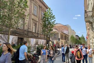 Zielona ulica Krupnicza