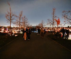 1 listopada na Cmentarzu Łostowickim w Gdańsku. Tak wygląda w dniu Wszystkich Świętych