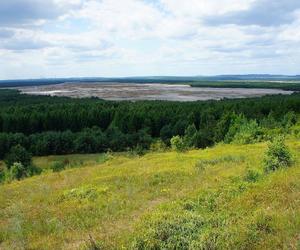 Największa pustynia w Polsce leży w Małopolsce. Odwiedza ją tysiące turystów [GALERIA]