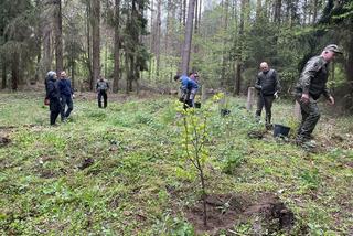 Olsztynek. Odsłonięto zbiorowe mogiły sprzed 100 lat. Nikt się tego nie spodziewał