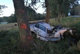 Tragedia na DK19. Kobieta wjechała w łosia, a następnie w drzewo. Zginęła na miejscu [ZDJĘCIA]