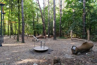 Oksywie. Ścieżka przez las