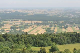 10 pomysłów na jesienną wycieczkę 30 kilometrów od Kielc. Zobacz!