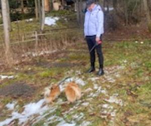 Mariusz Winnicki w Nowy Rok nie pospał, bo musiał wyprowadzić psy na spacer!