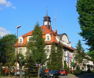 Kleszcze afrykańskie w Polsce