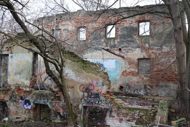 Spacer doliną Bystrzycy na lubelskim Wrotkowie