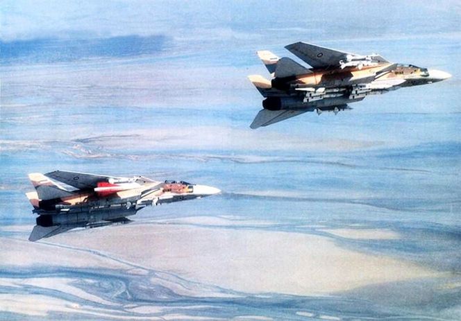 F-14 Tomcat