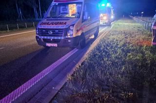 Kierowca uderzył w łosia na autostradzie i zginął! Tragiczny wypadek pod Toruniem [ZDJĘCIA]