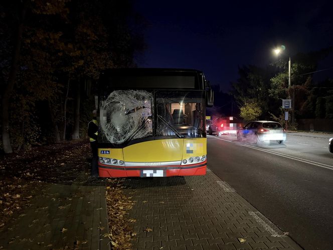 Wiązowna. Zderzenie autobusu z sarną 