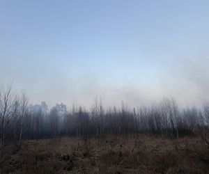 Płonie poligon pod Warszawą. Dym widać z daleka. Ogień nie jest jeszcze opanowany