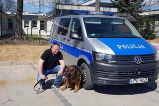 Policyjny pies Rudolf przeszedł na emeryturę. Służył w podkarpackiej policji