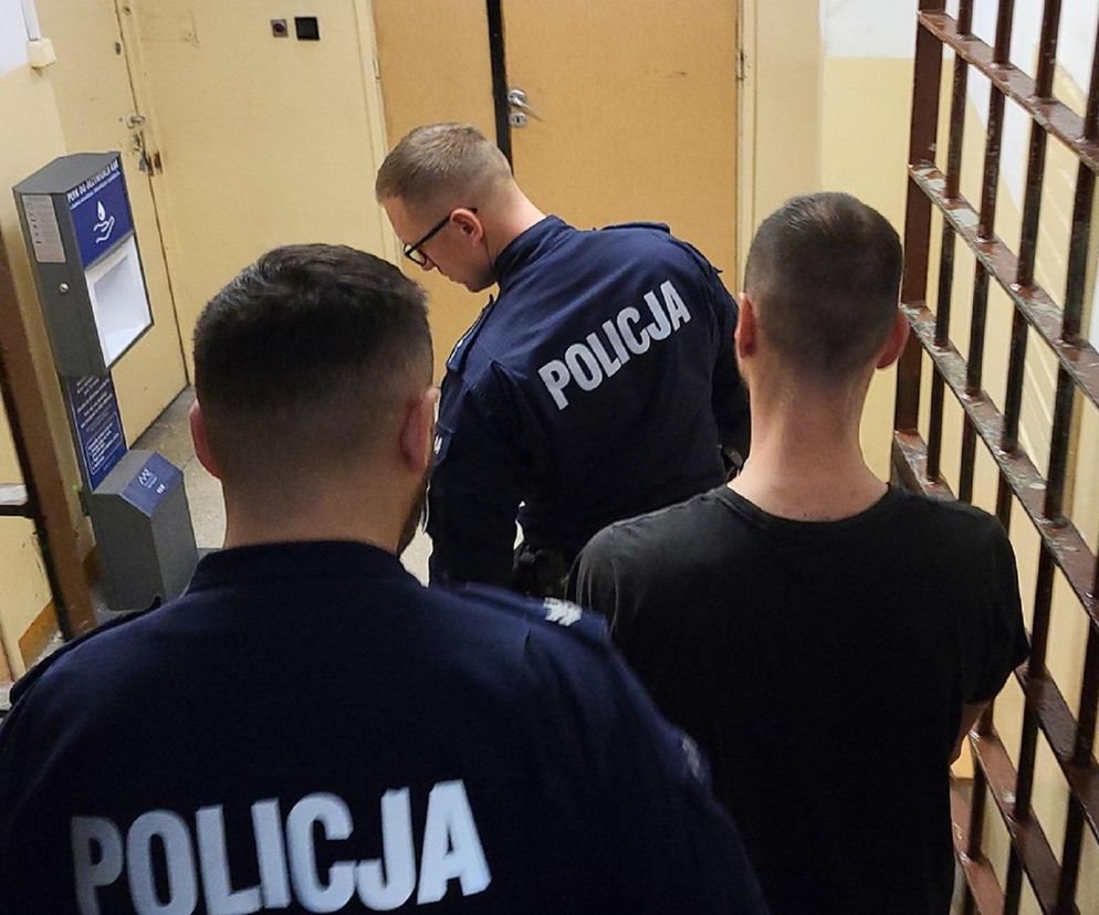 Sprawca zatrzymany przez policję
