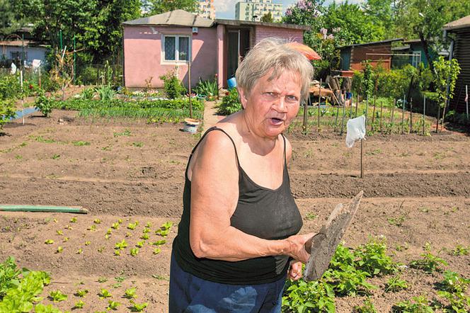 Alarm dla działkowców Zburzą wasze altanki!