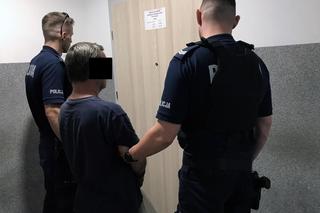 Zatrzymani za bestialskie zamordowanie lisa pod Toruniem