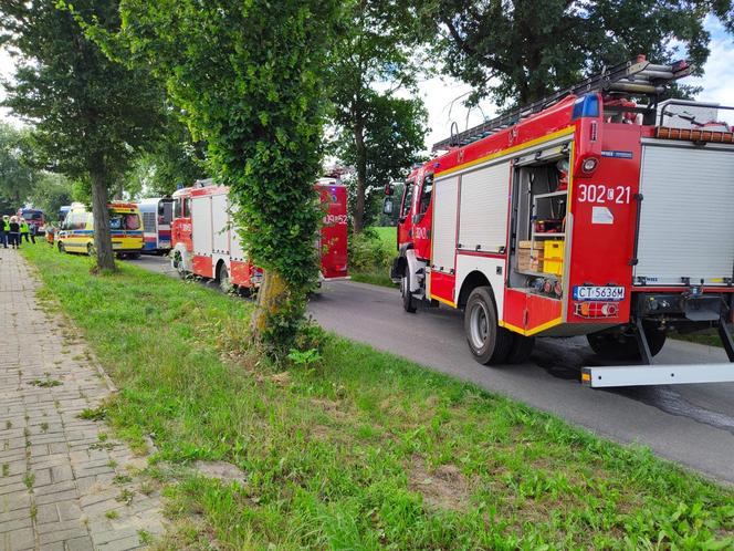 Pod Bydgoszczą autobus podmiejski uderzył w drzewo. Kilkanaście osób jest rannych!