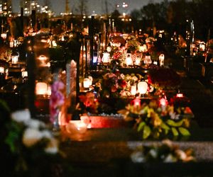 1 listopada na Cmentarzu Łostowickim w Gdańsku. Tak wygląda w dniu Wszystkich Świętych