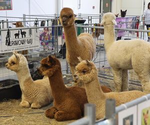 ZooPark ponownie przyciągnął do Targów Lublin tłumy miłośników zwierząt