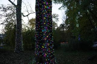 Ogród Świateł w Krakowie