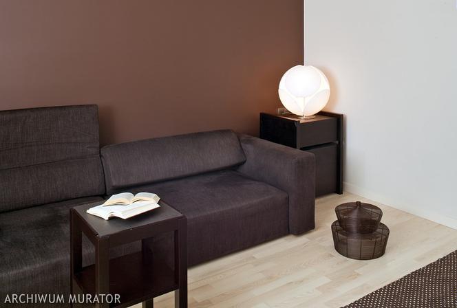 Salon w brązach