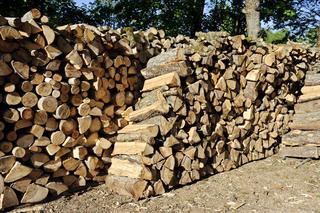 Ceny drewna opałowego 2023 - jest taniej! Jakie ceny drewna opałowego w Lasach Państwowych?