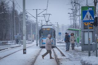 Wrocław. Zima sparaliżuje komunikacje miejską? 