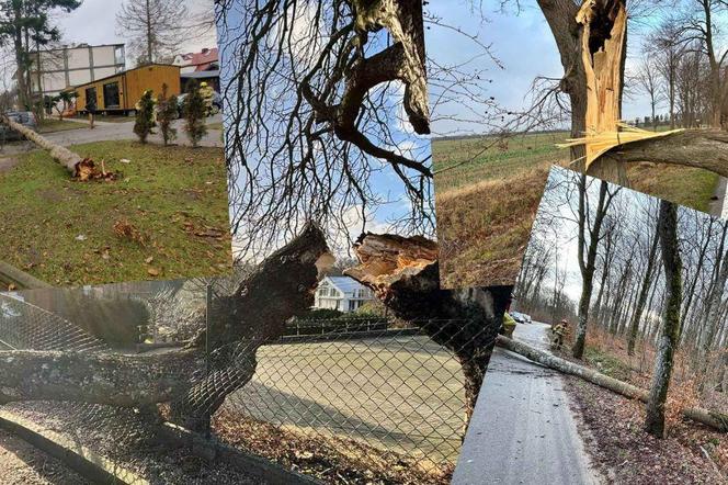 Strażacy z Pomorza walczą z pogodą. Niemal 70 interwencji 