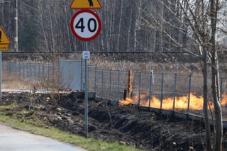 Pożar w Lubajnach pod Ostródą! Ogień zagraża schronisku dla zwierząt. Psy ewakuowane!