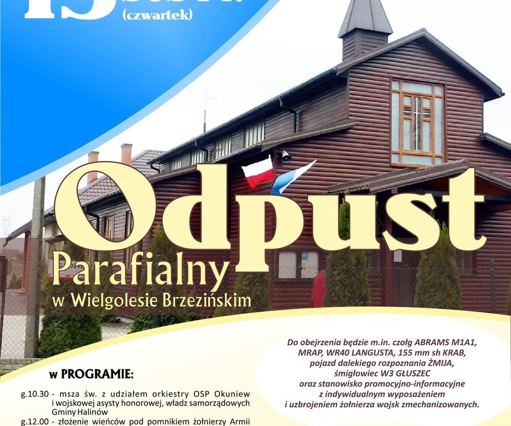 Odpust i Festyn w Wielgolesie Brzezińskim