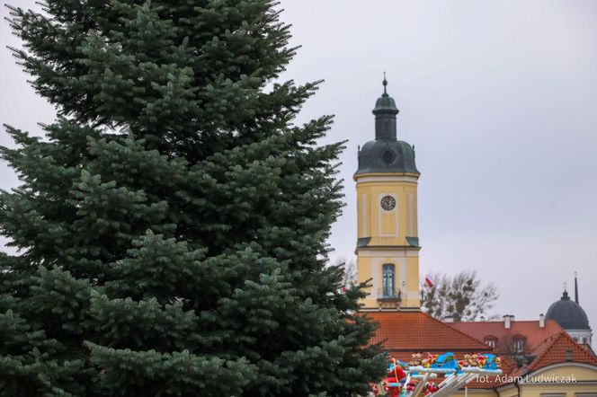 12-metrowa choinka przyjechała na Rynek Kościuszki w Białymstoku