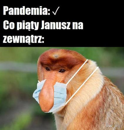 Memy o koronawirusie