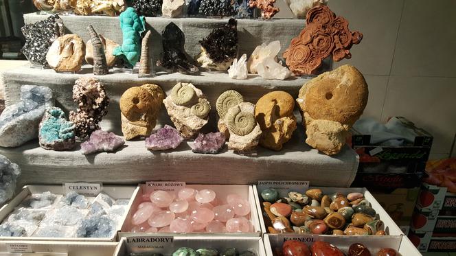 Giełda Minerałów w Sosnowcu