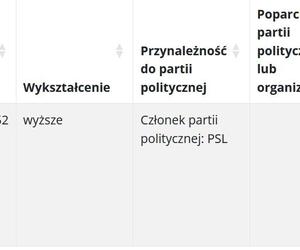 Wybory samorządowe 2024. Sprawdź, jak głosowano w gminach powiatu piotrkowskiego [GALERIA]