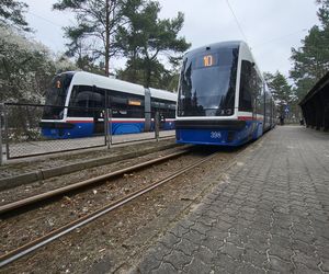 Tak po modernizacji będzie wyglądała pętla tramwajowa w Lesie Gdańskim! 