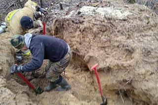 Lubelskie. Szczeniaki uwięzione w lisiej noże. Strażacy kopali w zmarzniętej ziemi przez 3 godziny