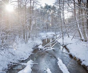 Czarniecka Góra - klimatyczna wieś w Świętokrzyskiem