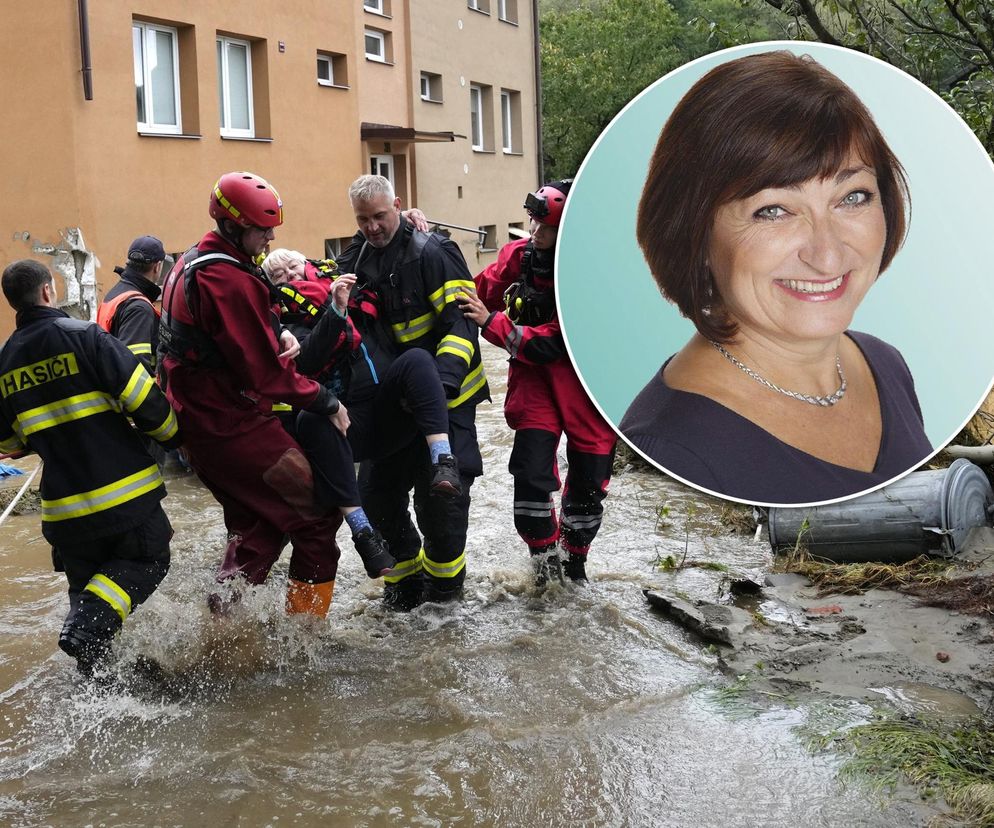 Burmistrz wyjechała na drogie wakacje, w tym czasie jej miasteczko zalała wielka fala. Nie wrócę