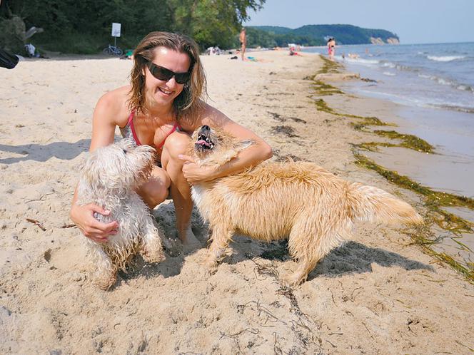 Idź z pupilem na psią plażę