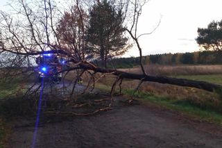 Silny wiatr i ulewy nad Łódzkiem. Strażacy interweniowali ponad 160 razy