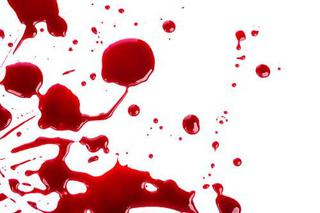 krew zbrodnia morderstwo zabił