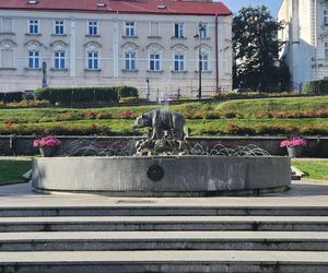  Wskoczył do fontanny z niedźwiedziem i szalał! Padły słowa wulgarne