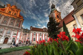Urząd Miasta Poznania zamontuje panele fotowoltaiczne na urzędowych budynkach 