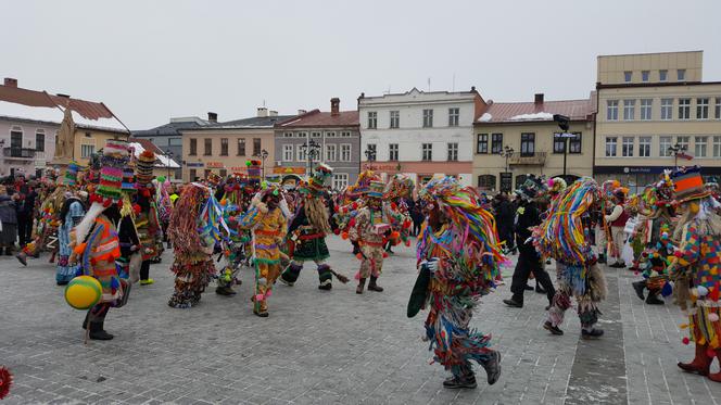 Gody Żywieckie plener