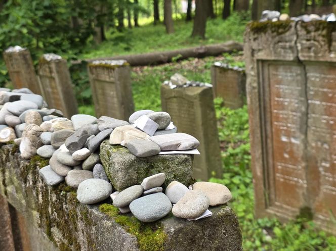 Cmentarz żydowski w Leżajsku