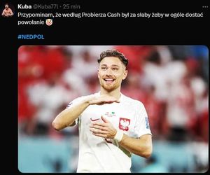 Polska - Holandia MEMY