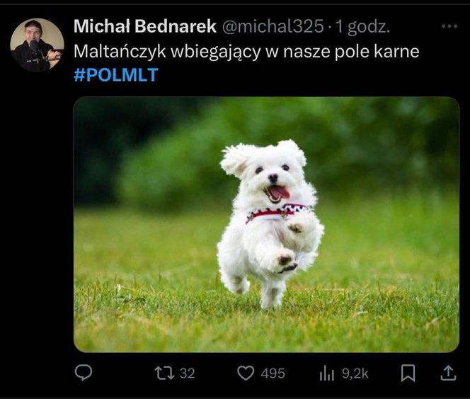 Polska - Malta: Memy i reakcje z internetu