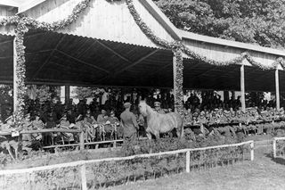 Janów Podlaski na starych zdjęciach