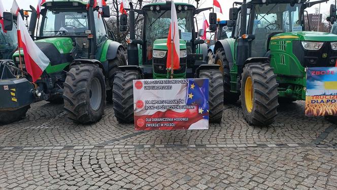  Hasła z protestu rolników we Wrocławiu. "Głód poczujesz, rolnika uszanujesz!"