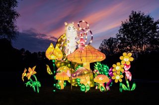 Nowa lokalizacja Garden of Lights w Śląskiem. W tym roku będzie obowiązywał nietypowy cennik