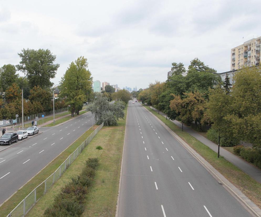 Tramwajarze wytną setki drzew pod budowę trasy tramwajowej do Wilanowa