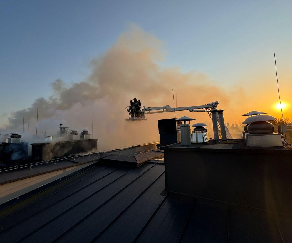 Pożar przy ul. Krańcowej w Poznaniu. Strażacy: To była trudna noc [ZDJĘCIA]